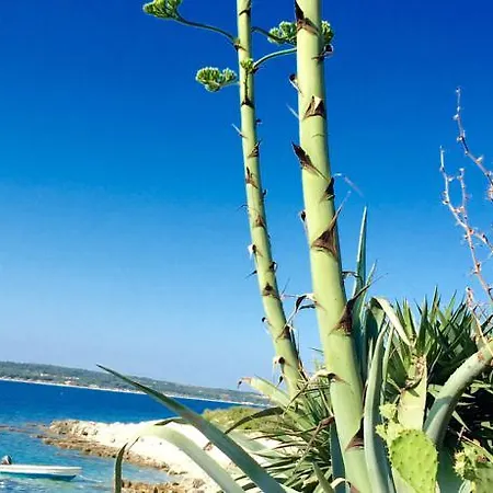 Holiday Sandra Regi بيت للعطل ميدولين